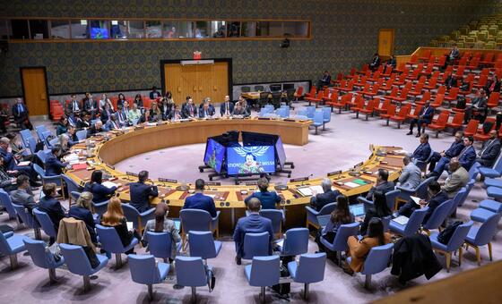 Заседание Совета Безопасности по ситуации в Ливии.